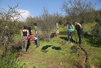 Jornada de reforestación del Parque Metropolitano